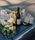 How to Throw a Wine Tasting At Home