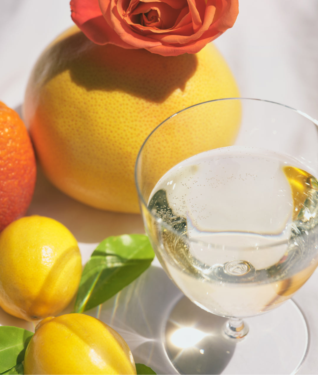 Overhead image of a glass of Sauvignon Blanc wine surrounded by grapefruit, lemon and roses