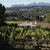 Raventós i Blanc producers.