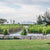 A picture of the Torres vineyard with a brick fence and mountains in the background