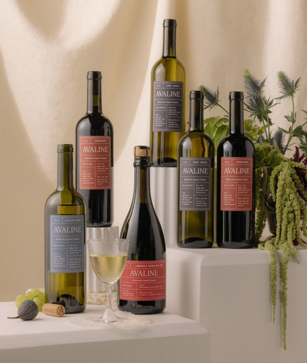 Wine Club BYOB