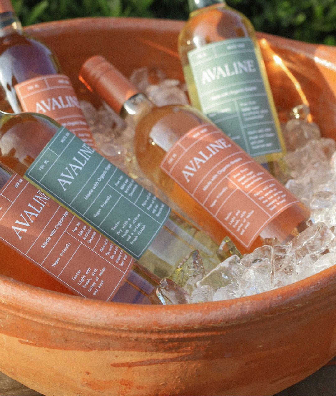 An image of Avaline White and Rosé bottles in a bucket surrounded by ice