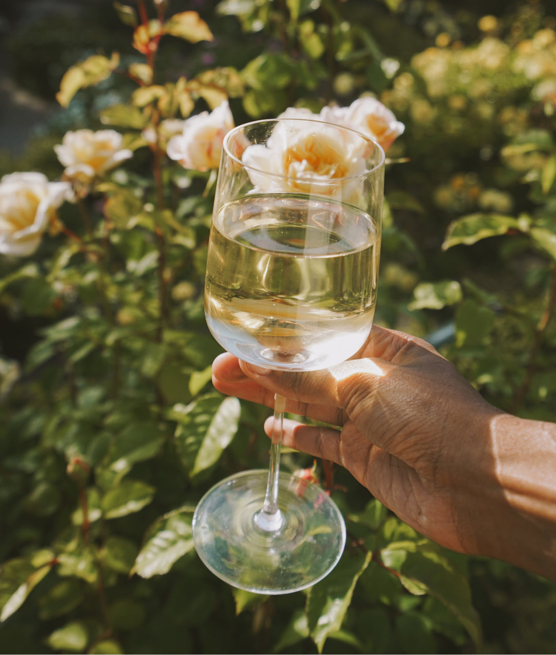 A woman's hand holding a glass of Avaline white wine in the air with greenery and white roses in the background
